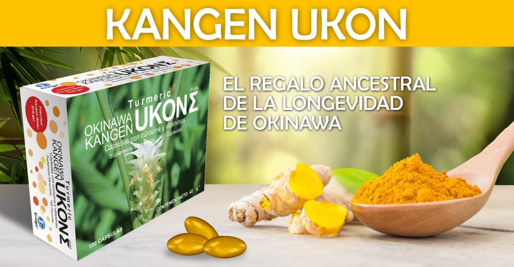 La imagen tiene un atributo ALT vacío; su nombre de archivo es Kangen-ukon-2-3-1024x532.jpg