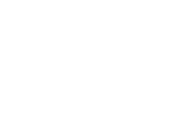 Ponte Exa