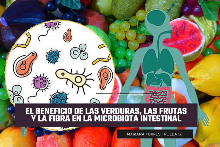 Microbiota intestinal frutas y verdura nutrición
