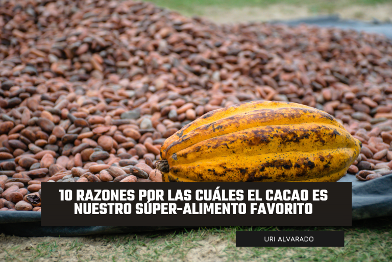 Cacao comidas saludables