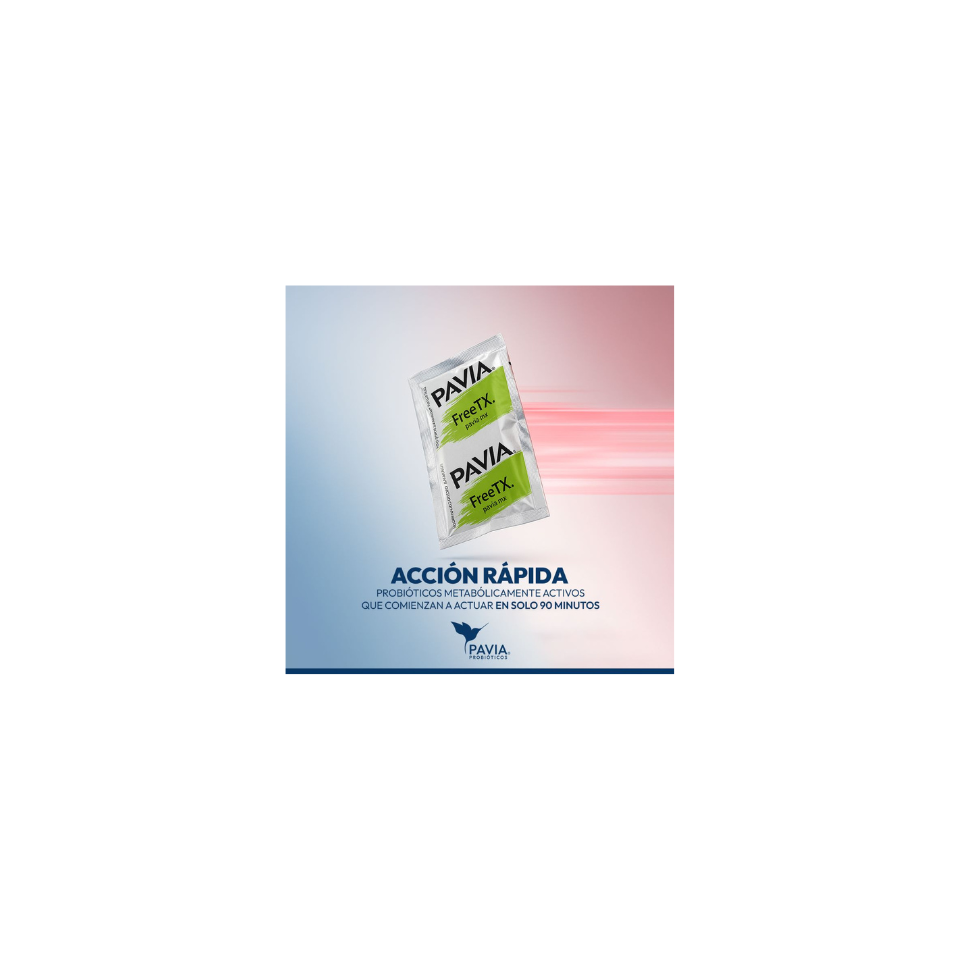 ejemplo – 2025-12-10T134856.813